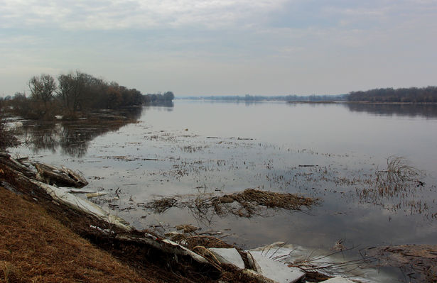 Wisła
Rzeka na wysokości Bielina
Słowa kluczowe: wisła rzeka kra lód