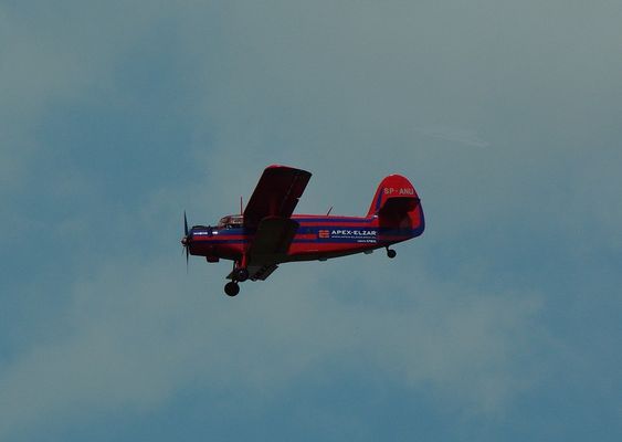 SP-ANU
Ten i jeszcze drugi, biały realizowały loty widokowe nad Płockiem. (III Piknik Lotniczy)
Słowa kluczowe: piknik lotniczy 2009 SP-ANU samolot