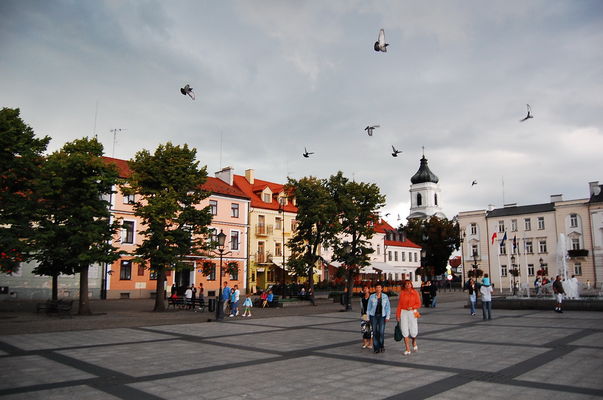 ptaki
wznoszące się ptaki na ratuszowym placu
Słowa kluczowe: ptaki plac ratusz stary rynek