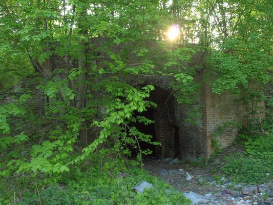 RUINY CEGIELNI - Jar Brzeźnicy
