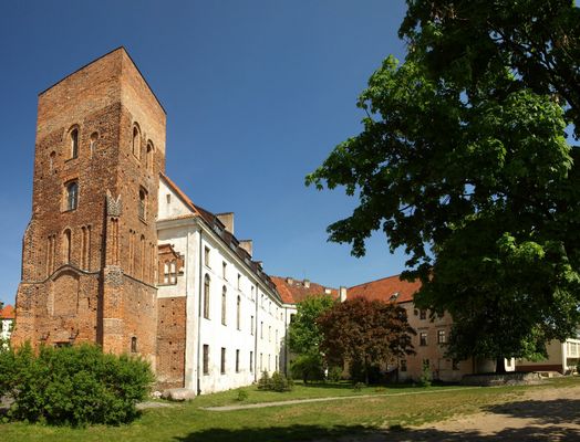 Małachowianka

