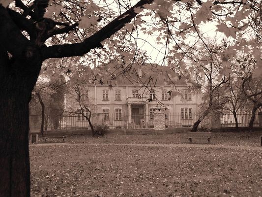 Stara Szkoła
szkoła
Słowa kluczowe: płock park