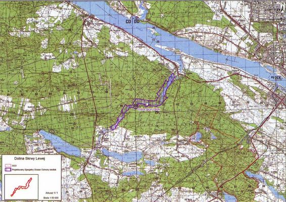 "Dolina Skrwy Lewej". Ostoja położona w Kotlinie Płockiej w dolinie śródleśnej rzeki. Ochrona zbiorowisk łęgowych w dolinie rzeki wraz z fragmentem zbiorowisk wilgotnych łąk. 
Wartość ostoi podkreśla stanowisko storczyka obuwika znajdującego się w północnej granicy zasięgu tego gatunku.
Słowa kluczowe: Dolina Skrwy Lewej Ostoja Natura 2000