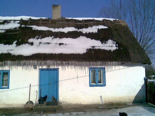 dom na wsi
Karolew 
Słowa kluczowe: dom na wsi Karolew