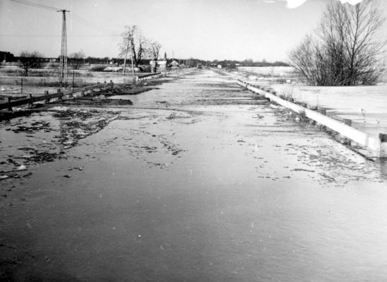 droga do Płocka - Radziwie
powódź 1982r.
Słowa kluczowe: powódź 1982r. Płock Radziwie