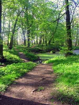 Mała Wieś
Mała Wieś. Park wiosną.
Słowa kluczowe: Mała Wieś