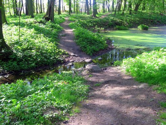 Mała Wieś
Mała Wieś. Park wiosną.
Słowa kluczowe: Mała Wieś