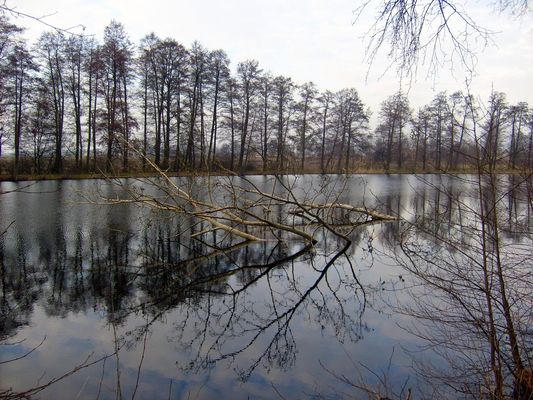 Mała Wieś
stawy
Słowa kluczowe: Mała Wieś