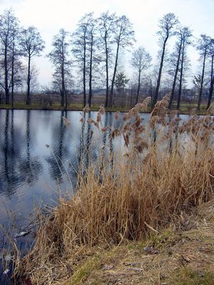 Mała Wieś
stawy 
Słowa kluczowe: Mała Wieś