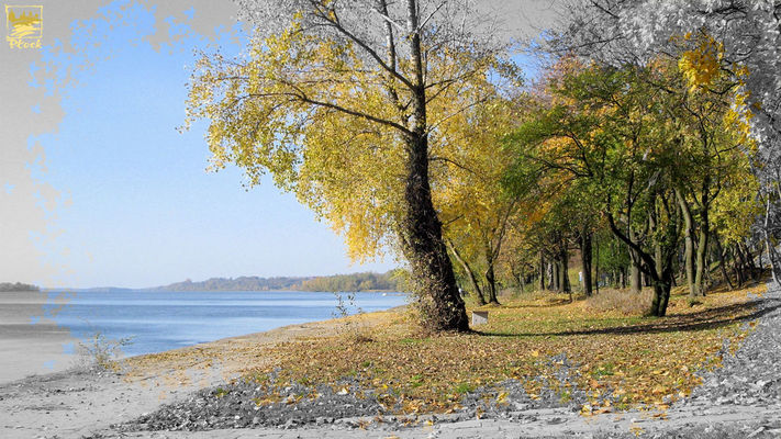 Jesienny bulwar
Bulwar nad Wisłą
