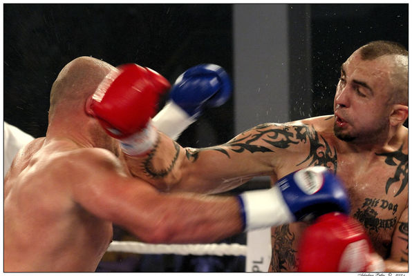 Angels Of Fire 2008
Różalski vs. Tahirsylaj
