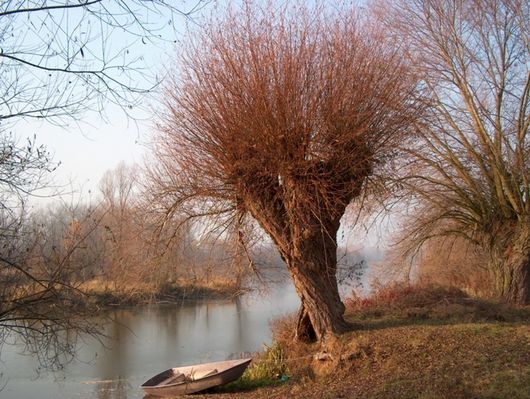 Kępa Polska, zalew.
Kolory jesieni.
