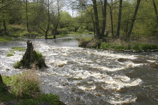 Skrwa
Skrwa - jazy młyńskie w okolicy Radotek i Kobiernik
Słowa kluczowe: Skrwa Lasotki spływ kajakowy kajaki Cierszewo brudzeński park krajobrazowy
