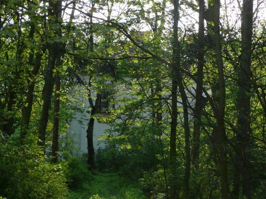 Park w Staroźrebach
Słowa kluczowe: park staroźreby