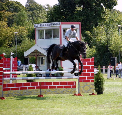 Mistrzostwa Polski Młodych Koni w Skokach przez Przeszkody w Łącku
