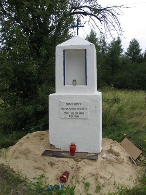 Kapliczka powstała 50 lat temu przy ul. Długiej-stan w czasie przenosin, podczas prowadzenia inwestycji.
