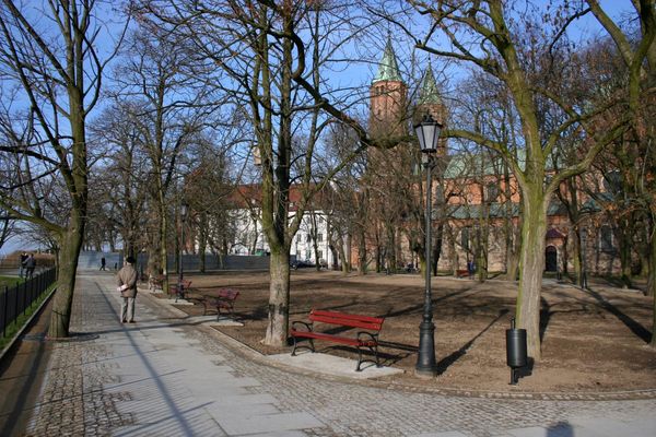 Odnowiona aleja przy katedrze
