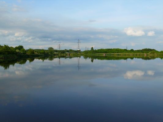staw glonowo-trzcinowy 
PKN Orlen
