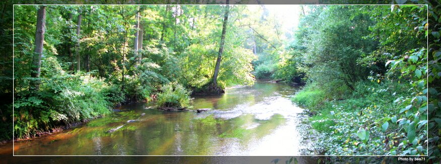 Rzeka Skrwa
W Parku Brudzeńskim
Słowa kluczowe: aalleek rzeka Skrwa