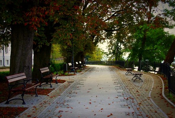 A na Tumach jesień się przechadza
Słowa kluczowe: tumy wzgórze jesień alejka