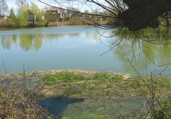 Ciółkowo
A historia tego stawu jest mniej więcej taka: przed wojną była tu posiadłość niejakich Ciołkowskich, którzy mieli majątek a razem z nim wielki park i ten staw. W czasie II wojny w dworku rezydowali Niemcy. Koło dworku stała pozłacana figurka Matki Boskiej, którą Niemcy wrzucili do tego stawu. Po wojnie staw był kilkakrotnie osuszany w poszukiwaniu owej figurki, niestety jednak bezskutecznie. Figurka cały czas czeka na odnalezienie...
