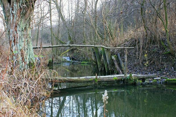 Zielony mosteczek
A ten "most" na Brzeźnicy znacie? ;)
Słowa kluczowe: most brzeźnica jar