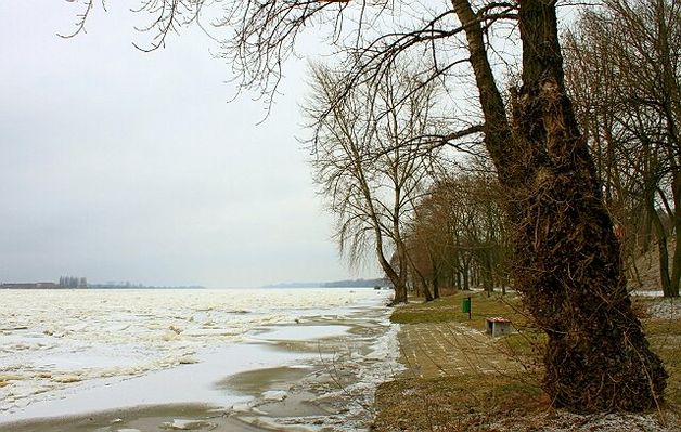 Wisła w styczniu 2010
Słowa kluczowe: wisła rzeka zima
