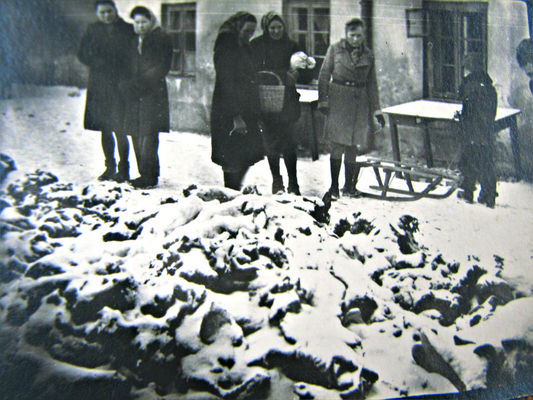 Zwłoki spalonych na ul. Sienkiewicza
Styczeń 1945
