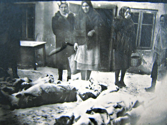 Spaleni Polacy na Sienkiewicza
Spaleni w styczniu 1945
