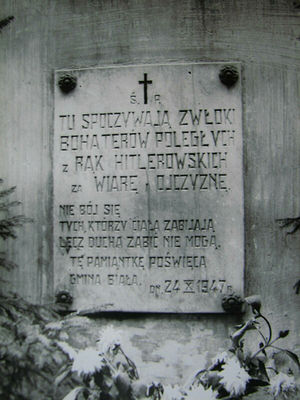 Miejsce tablicy do identyfikacji, prawdopodobnie gmina Biała
Słowa kluczowe: tablica biała gmina