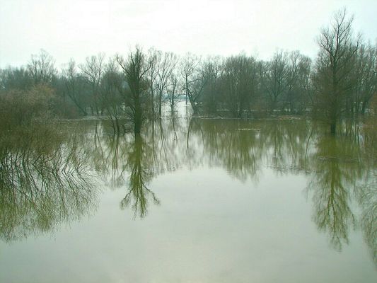 Wiosenny wylew Wisły
Tak wyglądała w dniu dzisiejszym Wisła w okolicy Liszyno-Białobrzegi-Kępa Polska.
