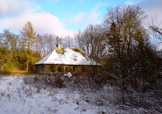 Leśniczówka Brwilno 
Leśniczówka została wybudowana na samym początku XX wieku. Była siedzibą Leśniczego Brwilno. W lesie znajdowały się jeszcze dwie gajówki i dom ptasznika.  Niestety kiedy wiosną tego roku pojechałem z aparatem na małą sesję już jej nie znalazłem, została zrównana z ziemią wraz z budynkami gospodarczymi i studnią. Jako wspomnienia pozostało po niej tylko kilka fotek (niestety słabej jakości).
