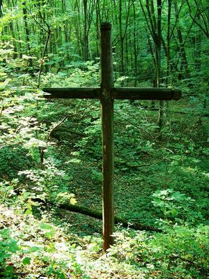 Krzyż w Rezerwacie Brwilno
Krzyż poświęcony pamięci 6 Polaków (mieszkańców Brudzenia) zamordowanych przez hitlerowców w czasie II Wojny Światowej. 
