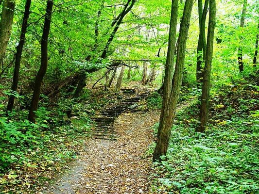 Jesień w Rezerwacie Sikórz
