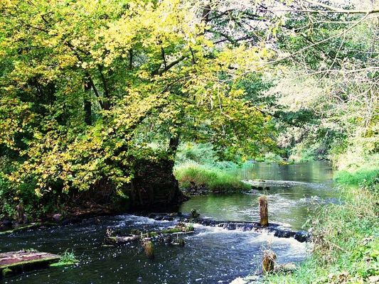 Jesień w Rezerwacie Sikórz
