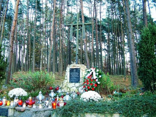 Mogiła w Lasach Brwileńskich 
Dzień Zaduszny 
