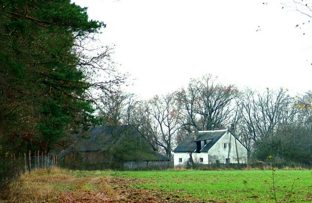 Gajówka w Lesie Brwilno.
Gajówka istniała już na przełomie XIX i XX wieku. Znajdowała się w sąsiedztwie parowy Biskupice. Aktualne budynki pochodzą  z okresu powojennego.
