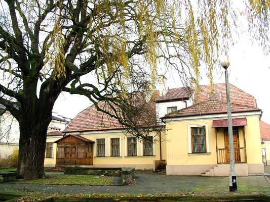 Dom Władysława Broniewskiego 
Wy nie wiecie, jak tam biją dzwony,
stare dzwony o cichy zmierzchu,
kiedy słońca język czerwony
liże fale, rude po wierzchu,
