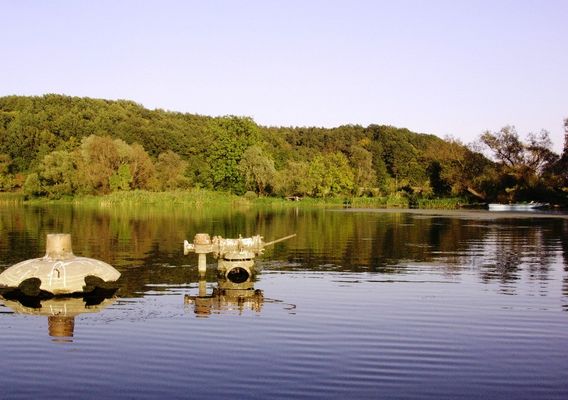 Pozostałości po młynie w Biskupicach
