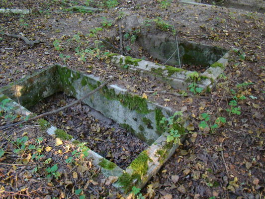 Cmentarz w Powsinie
Obecny widok cmentarza.
