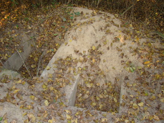 Cmentarz w Powsinie
Cmentarz sprofanowany został prawdopodobnie po wojnie, jednak tak jak w przypadku tego zdjęcia widać, że ten proceder odbywa się cały czas. Zdjęcie wykonane z tej perspektywy ze względu na nie do końca zasypane pieczary.
