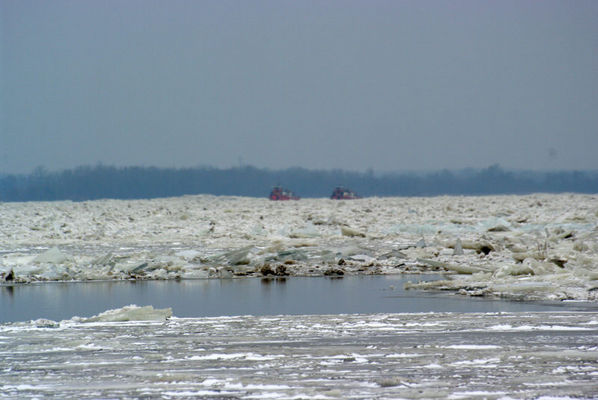 Lodołamacze na Wiśle 01.01.2010r.
Daleko ale widać.
