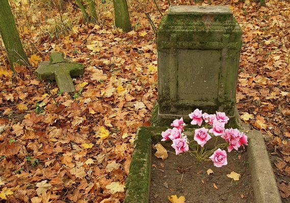 Cmentarz w Świniarach
Większość cmentarzy olenderskich została zamieniona w pastwiska, dzikie wysypiska śmieci lub zwyczajnie zarosła. Od jakiegoś czasu da się jednak zauważyć pewne zainteresowanie ich losem. Spore zasługi w tym ma Stowarzyszenie Ziarno z Grzybowa.
Słowa kluczowe: Świniary cmentarz