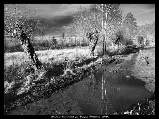 Droga w Cechomicach
Jesienna jeszcze droga nad jezioro.
Słowa kluczowe: jesień Mazowsze wierzby kałuża