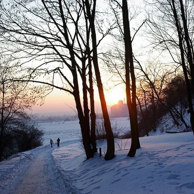 Powrót z sanek
Park, tuż poniżej katedry.
Słowa kluczowe: zima sanki park zachód