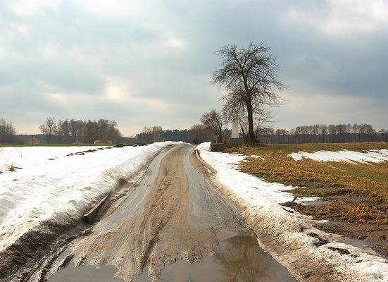 Przedwiośnie
Okolice Radziwia. Droga do Dzierżążni Przepraszam za przepały :-)
Słowa kluczowe: Radziwie wiosna