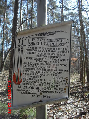 tablica na krzyżu upamiętniająca miejsce egzekucji w Grabinie
