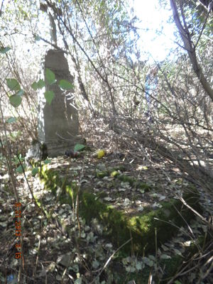 grób Efrazyny Kautz z 1925 roku w Budach Borowickich
