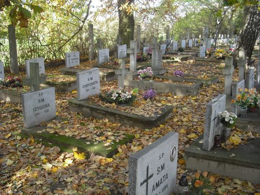 cmentarz mariawicki w Pepłowie
