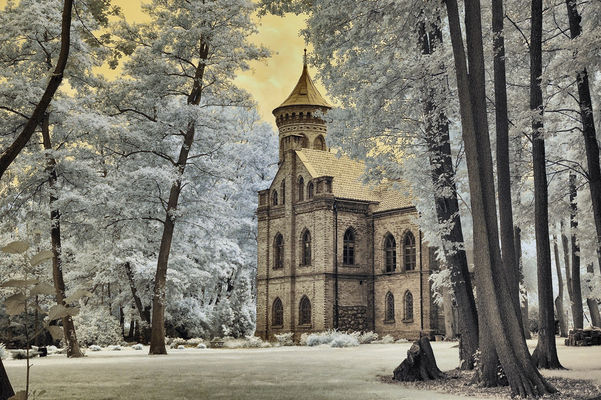 Inne spojrzenie na zameczek Dunikowskich, nowy właściciel i nowe psy - IR720 :-)
